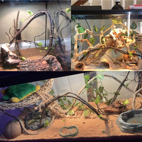 New Reptile Hideout Box with Sink - Humidifier Cave Habitat with Water Supply - Picture 11 of 12